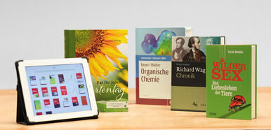 Digitale Medienvorstufe